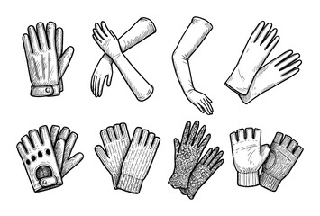 Fototapeta premium Glove Icons Sketch