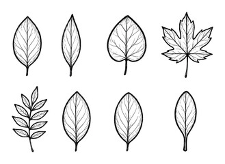 Leaf Icon Collection