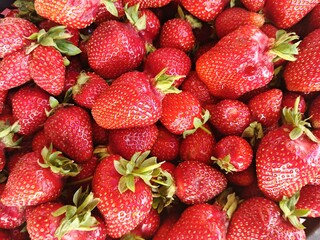 strawberries on market