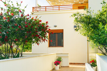 Bright garden view with flowers and modern architecture during sunny day in residential area