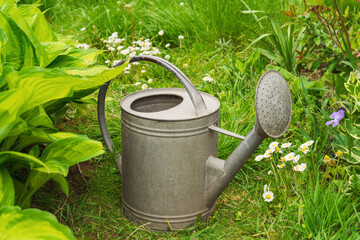 Vintage metal watering can resting in a vibrant garden filled with flowers and lush greenery