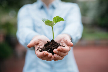 A person gently holds a small green plant seedling with soil in their cupped hands, symbolizing new life, growth, and environmental responsibility.