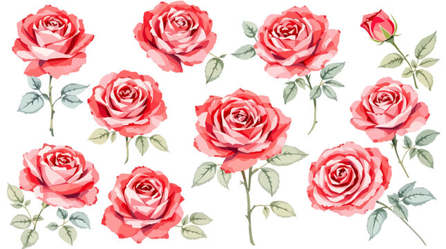 Artistic Watercolor Rose Clipart Set for Branding Invitations and Printable Crafts