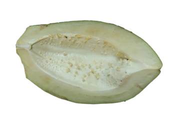 closeup of a papaya slice isolated on a transparent background