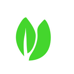 green leaf