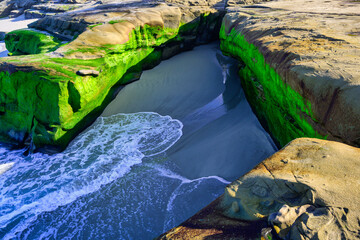 2025-03-20 A V SHAPED ROCK ON THE SHORES AT THE WIND AND SEA BEACH COVERED IN BRIGHT GREEN MOSS WITH A SAND SPOT AND A SMALL WAVE COMING ON SHORE IN LA JOLLA NEAR SAN DIEGO