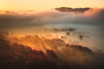 Fototapeta premium Golden sunrise illuminating a misty forest landscape in autumn with fog rolling over the hills