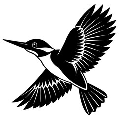 black and white bird