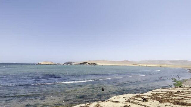Coastal Desert Landscape with Flying Bird in Paracas, Peru