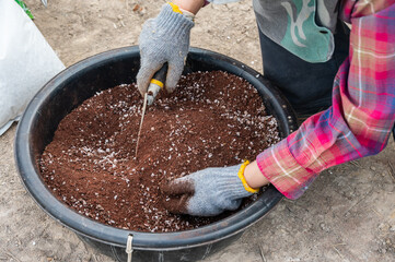 Cropped shot view of gardener using a small shovel for holding an organic mixed rice husk before...