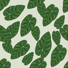 Pattern4