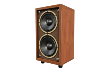 Wooden stereo speaker with two large round drivers in a classic brown finish suitable for home o systems and professional sound setups