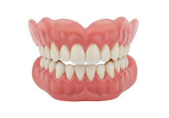 Isolated Set of Realistic Dentures with White Teeth