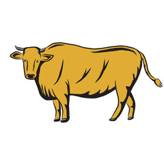Regular standing brown cow