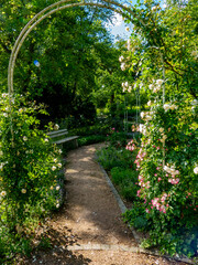 Rosengarten im Frühling