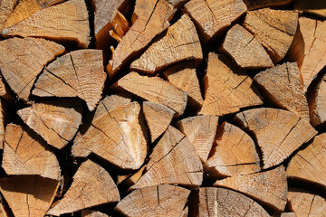 Brennholz
