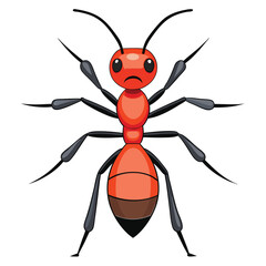 ant vector image on white background