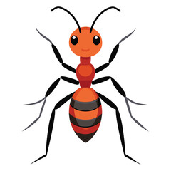 ant vector image on white background
