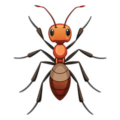 Fototapeta premium ant vector image on white background