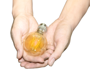 Two hands holding a transparent light bulb and it fits in with every background.