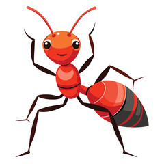 ant vector image on white background