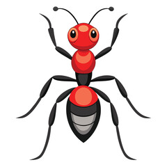 ant vector image on white background