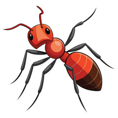 ant vector image on white background
