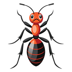 ant vector image on white background