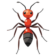 ant vector image on white background