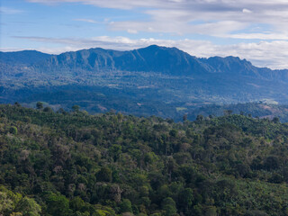 Lush green forest and mountain landscape under clear sky with rolling clouds