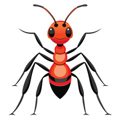 Fototapeta premium ant vector image on white background