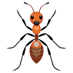 ant vector image on white background