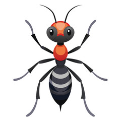 ant vector image on white background