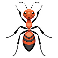 ant vector image on white background