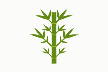 Naklejka premium bamboo isolated on white background