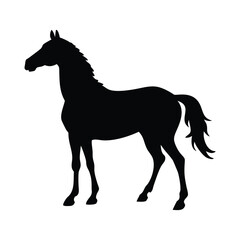 Obraz premium Black Silhouette of a Horse white background