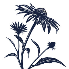 silhouette sunflower on white background