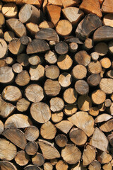 Brennholz