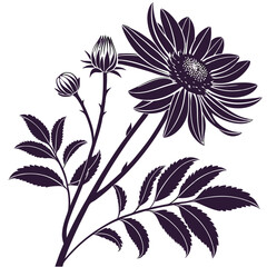 silhouette sunflower on white background