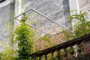 the aged stone wall overgrown with lush greenery a metal frame offering support to the climbing...