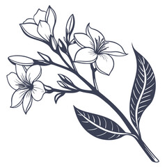 silhouette Chamoli on white background