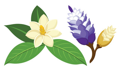 Tropical gardenia and blue ginger flowers illustration