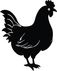 Hen Chicken silhouette Designs 