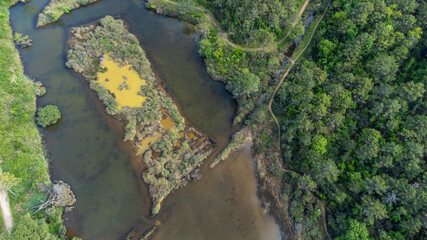 Drone Shot of Pinewood of Classe near Lido di Dante (“Pineta di Classe”), part of the Po Delta...