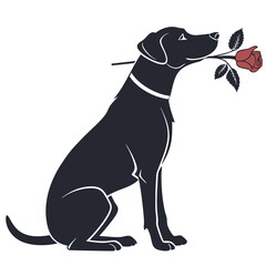 silhouette dog rose on white background