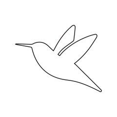 colibri bird line icon