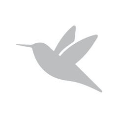 colibri bird icon