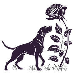 silhouette dog rose on white background