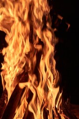 Fototapeta premium Camp Fire Flames