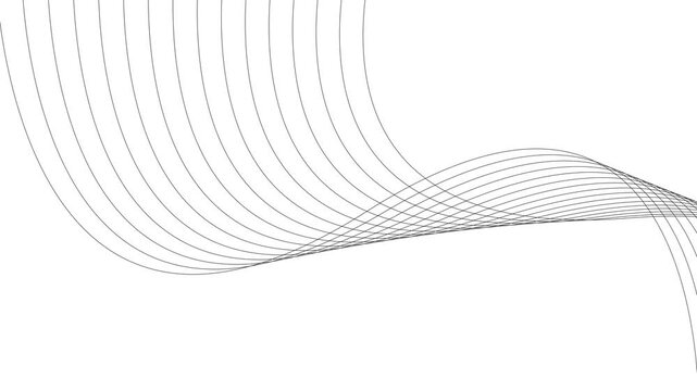 Abstract waves lines minimal elegant black color animation. White background 4k video Seamless looping.	